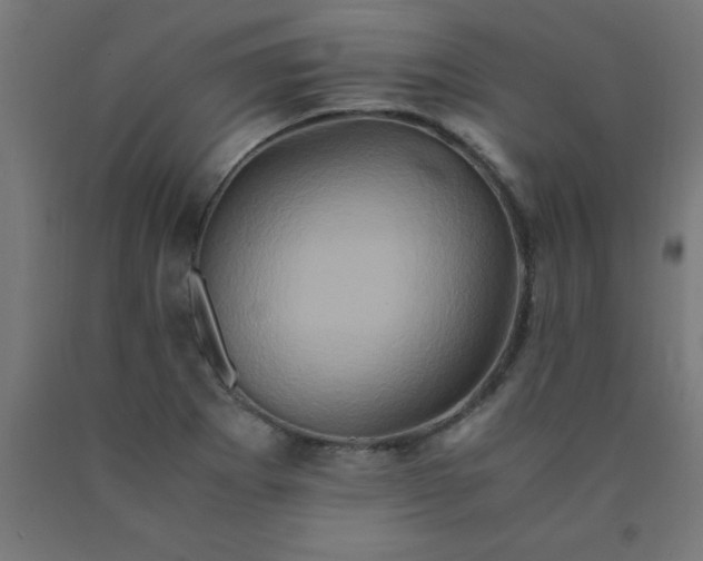 X0000090621273200707311236