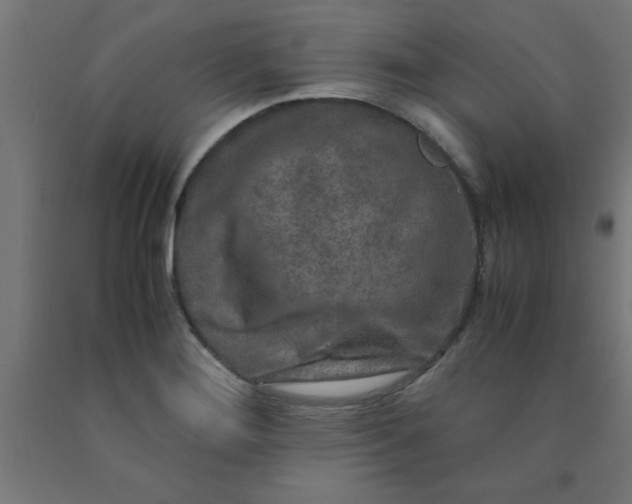X0000090621276200707311236
