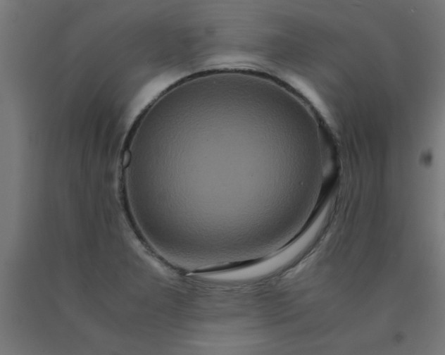 X0000090621277200707311236