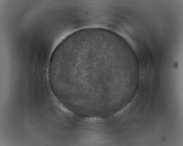 X0000090621278200707311236
