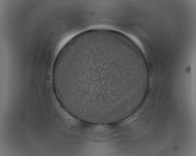 X0000090621279200707311236