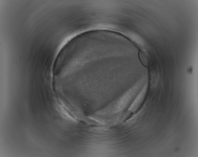 X0000090621280200707311236