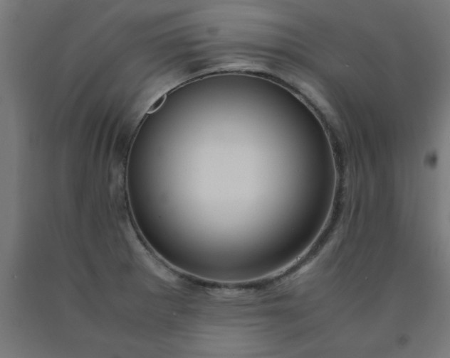 X0000090621281200707311236