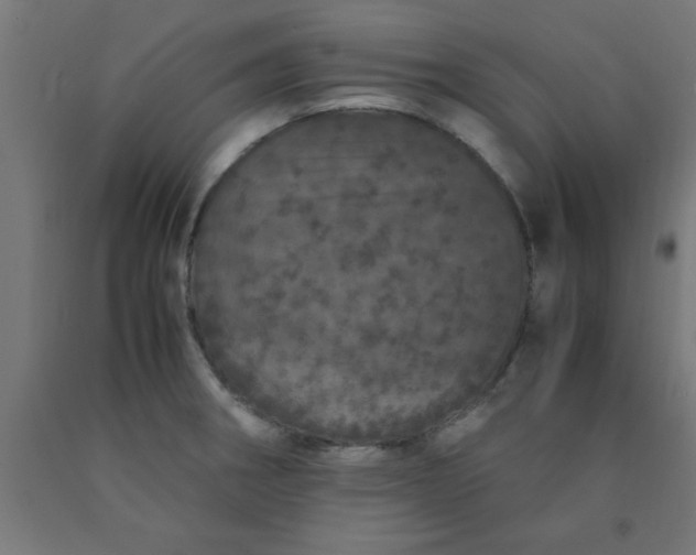 X0000090621282200707311236