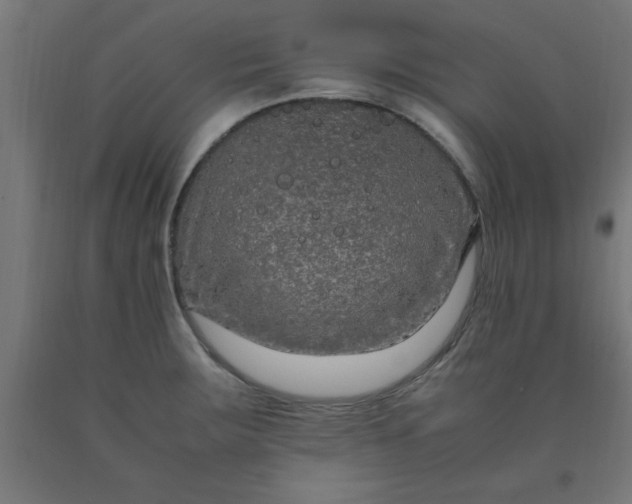X0000090621283200707311236