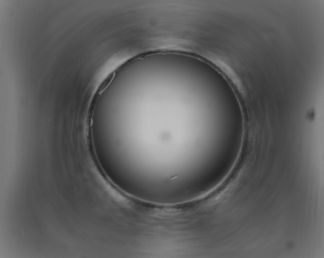 X0000090621285200707311236