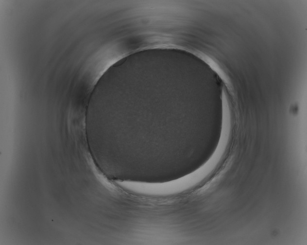X0000090621289200707311236