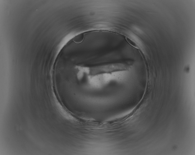X0000090621291200707311236
