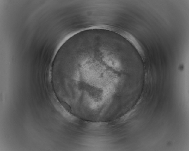 X0000090621292200707311236