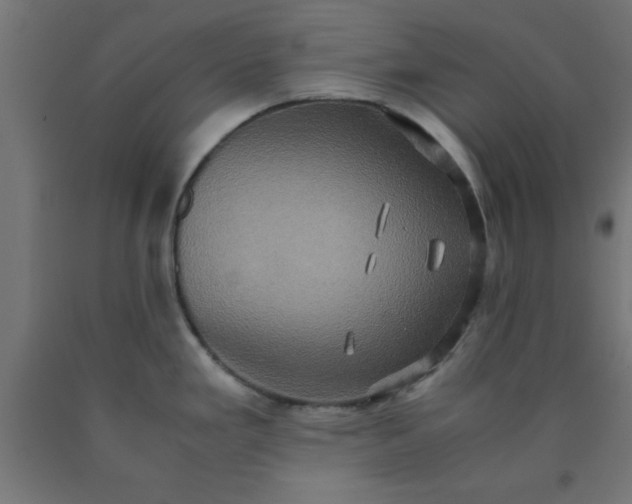 X0000090621293200707311236