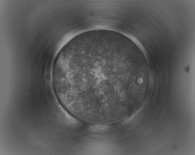 X0000090621294200707311236