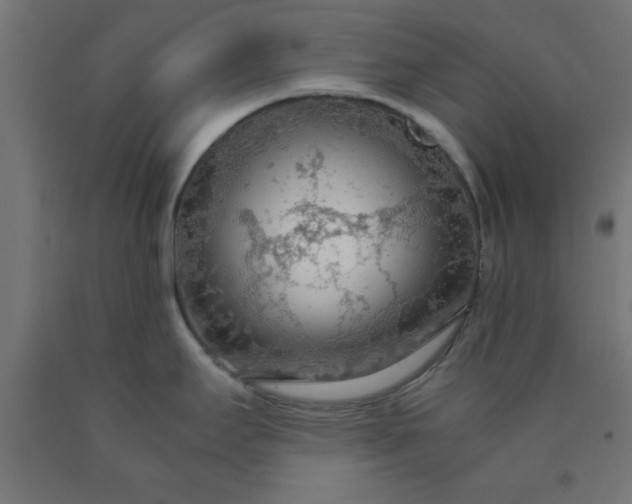 X0000090621295200707311236