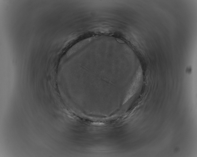 X0000090621297200707311235