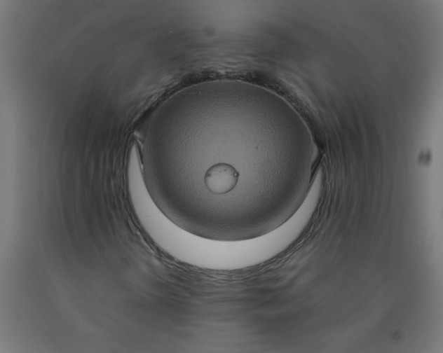 X0000090621298200707311235