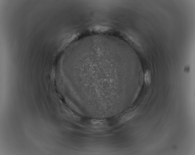 X0000090621299200707311235