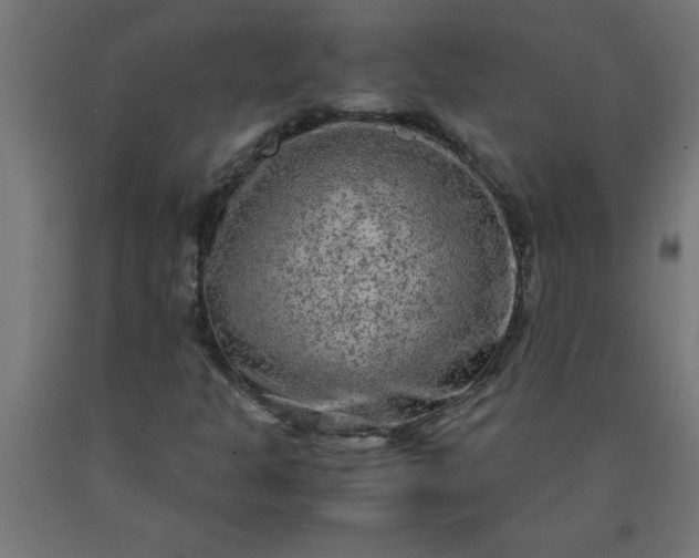 X0000090621301200707311235