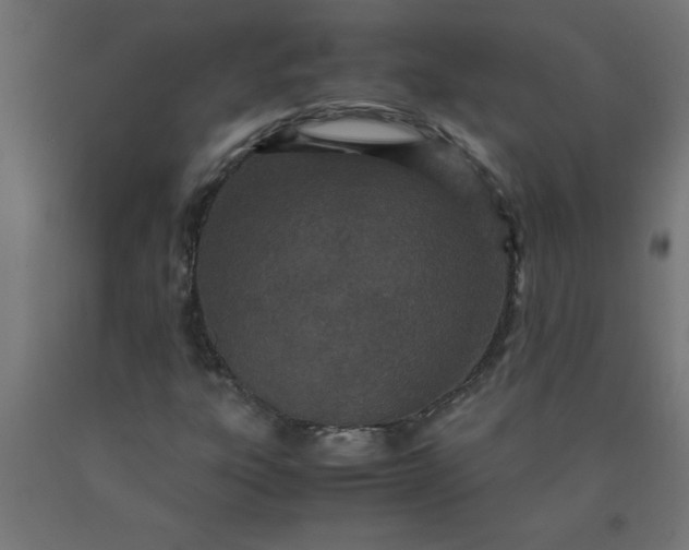 X0000090621303200707311235