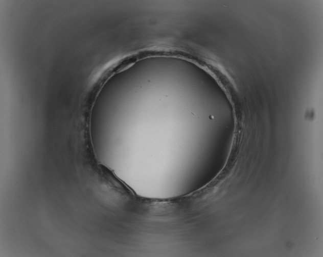 X0000090621304200707311235