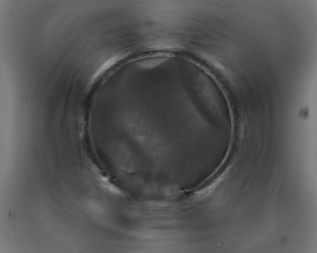 X0000090621306200707311235