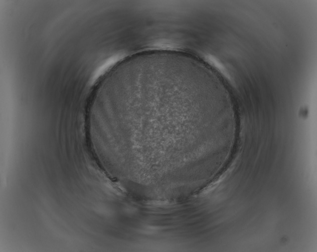X0000090621307200707311235