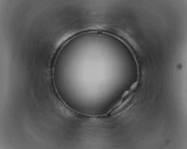 X0000090621308200707311235