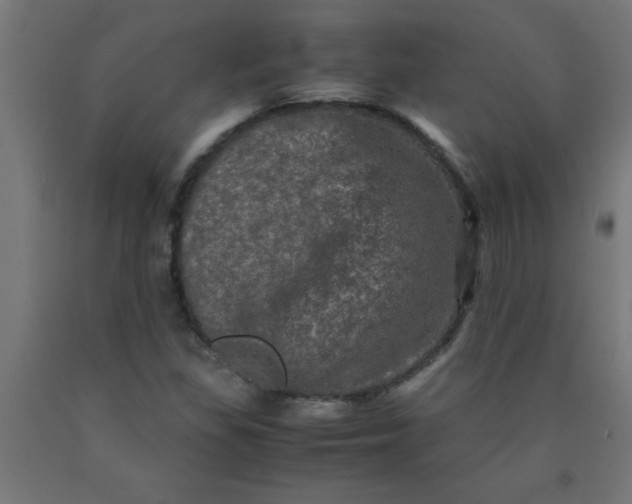 X0000090621309200707311235