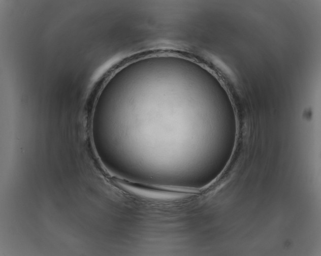 X0000090621310200707311235