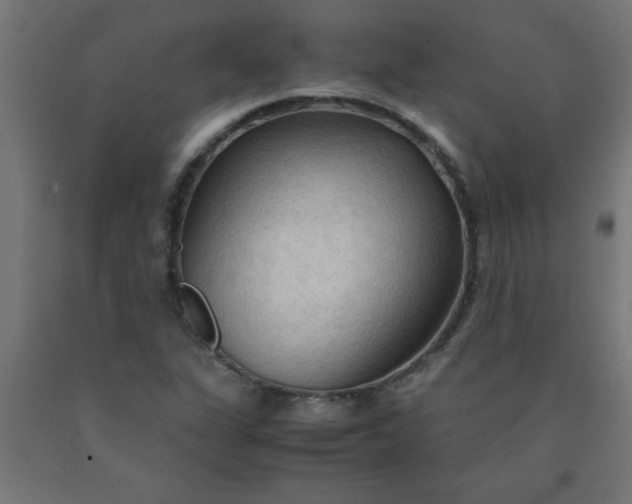 X0000090621311200707311235