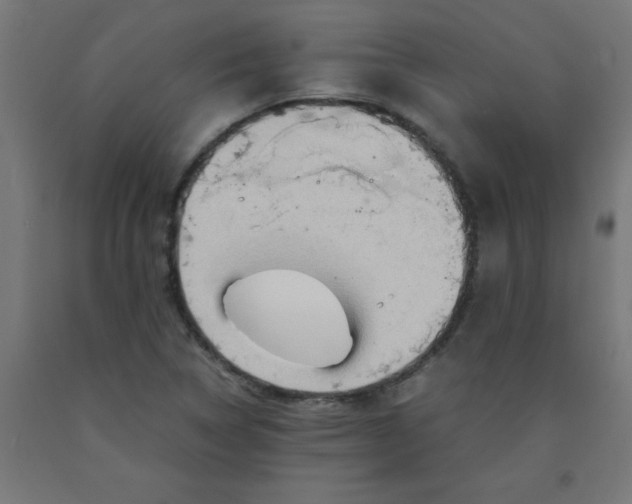 X0000090621314200707311235