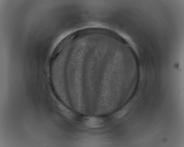 X0000090621318200707311235