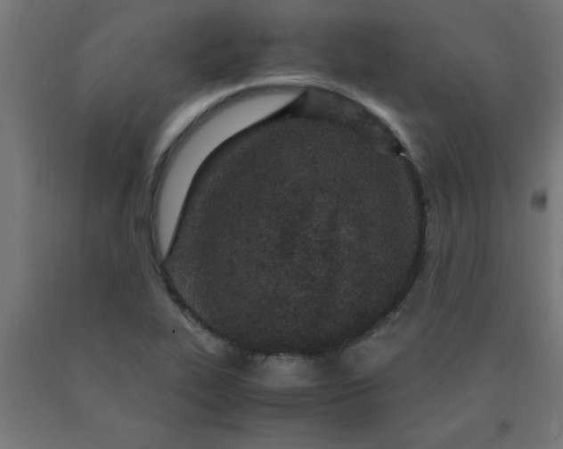 X0000090621319200707311235