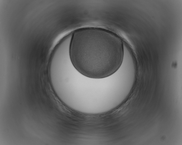 X0000090621320200707311235