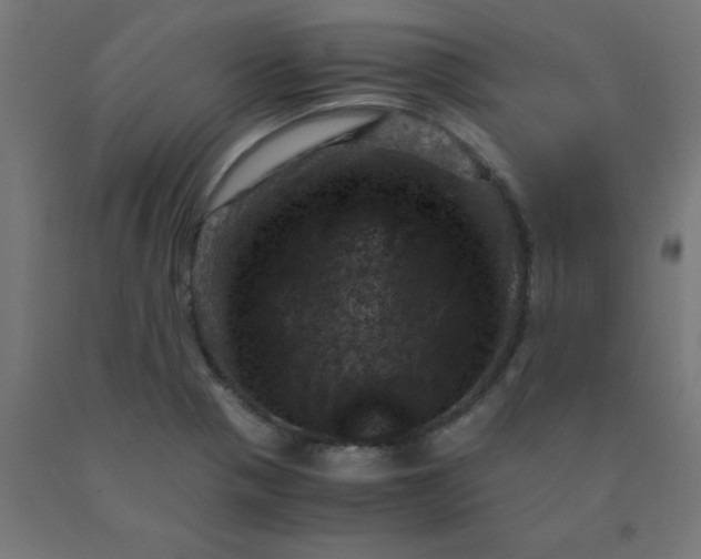 X0000090621321200707311235