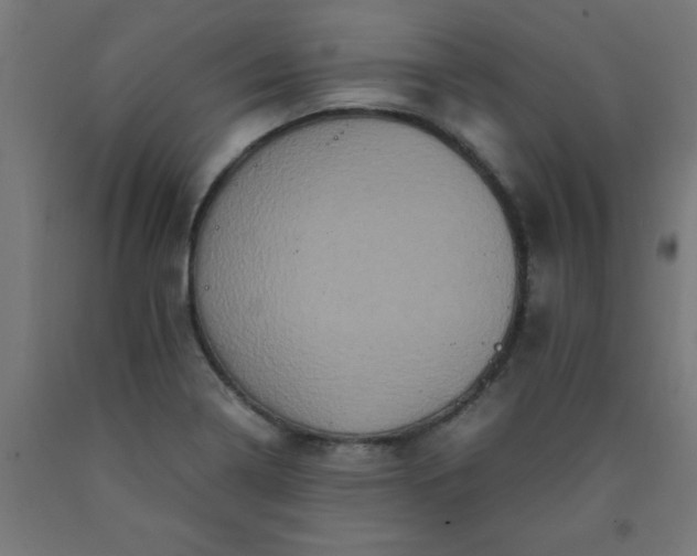 X0000090621322200707311236