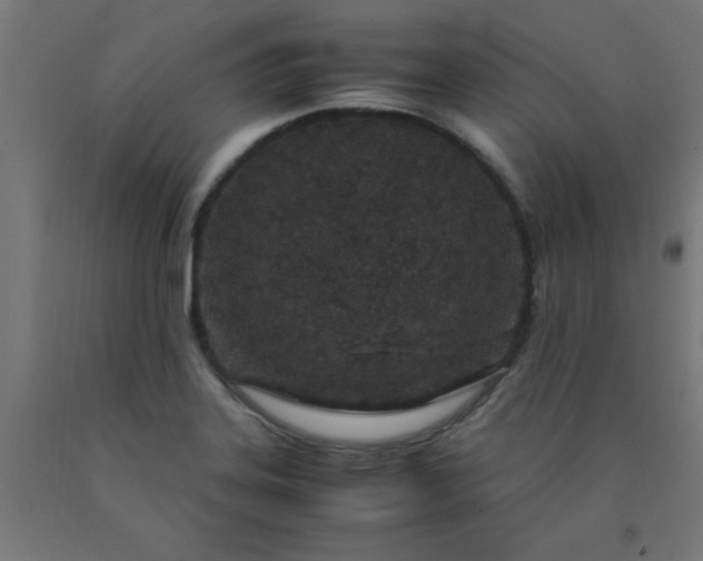 X0000090621323200707311236