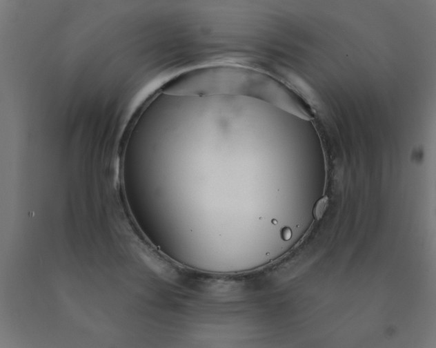 X0000090621324200707311236