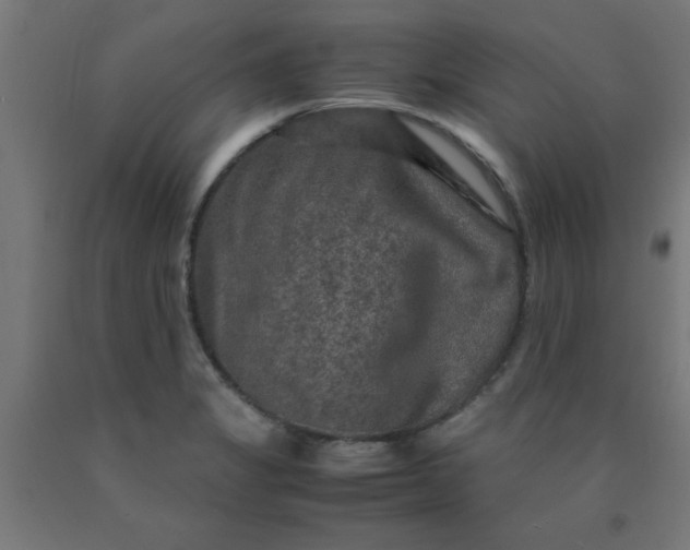 X0000090621325200707311236