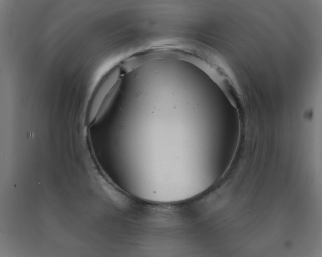 X0000090621328200707311236