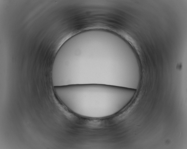 X0000090621329200707311236