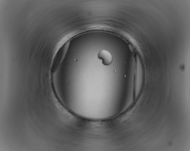 X0000090621330200707311236