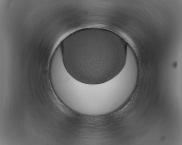 X0000090621332200707311236