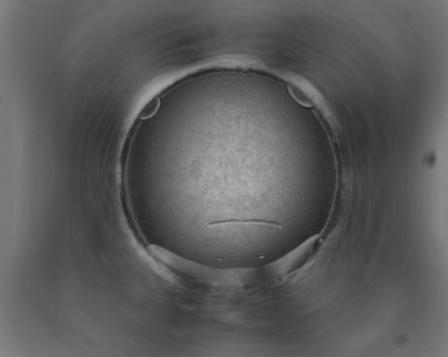 X0000090621335200707311236