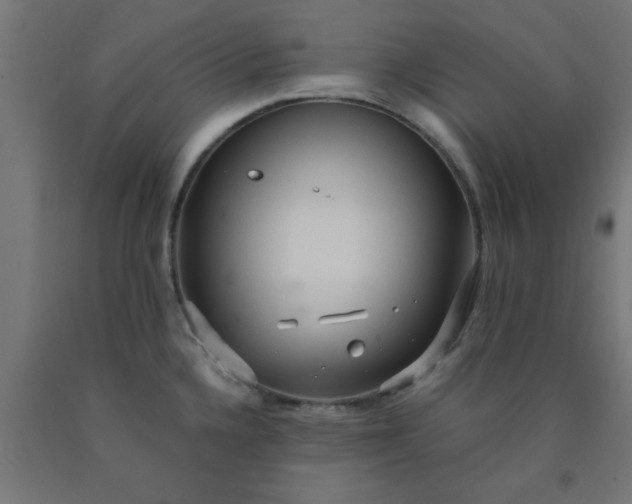 X0000090621336200707311236