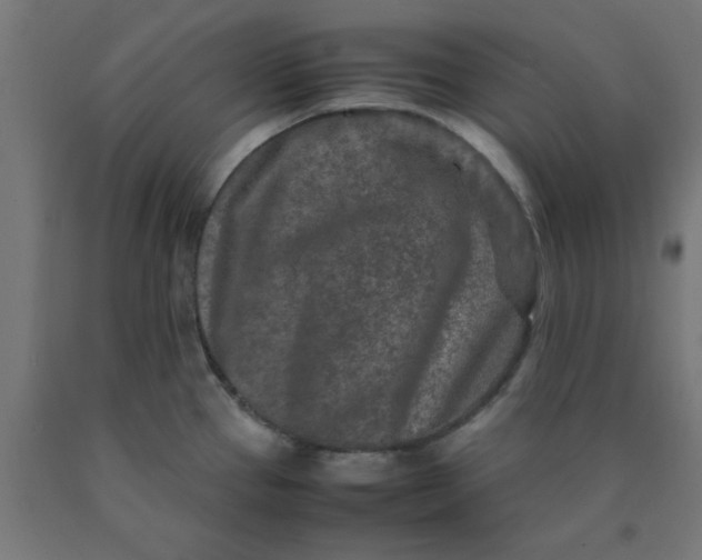 X0000090621337200707311236