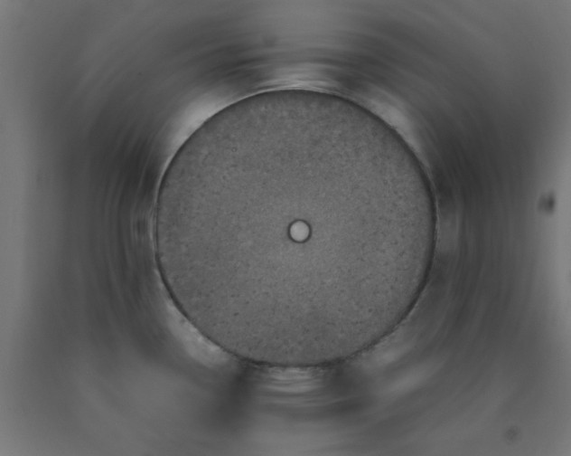 X0000090621338200707311236