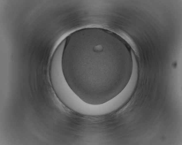 X0000090621340200707311236