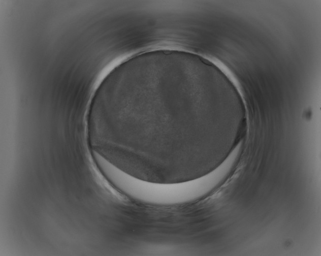 X0000090621341200707311236