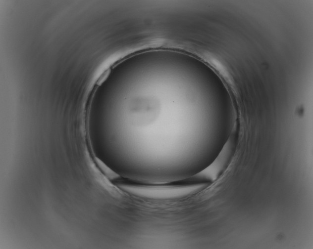 X0000090621342200707311236