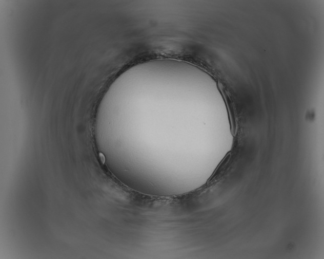 X0000090621345200707311235