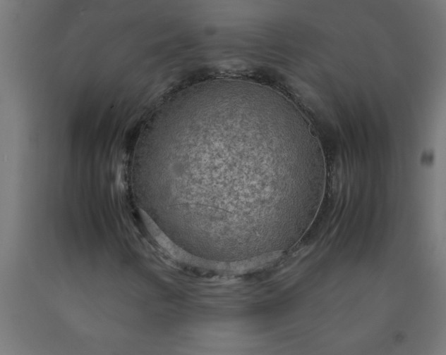 X0000090621346200707311235